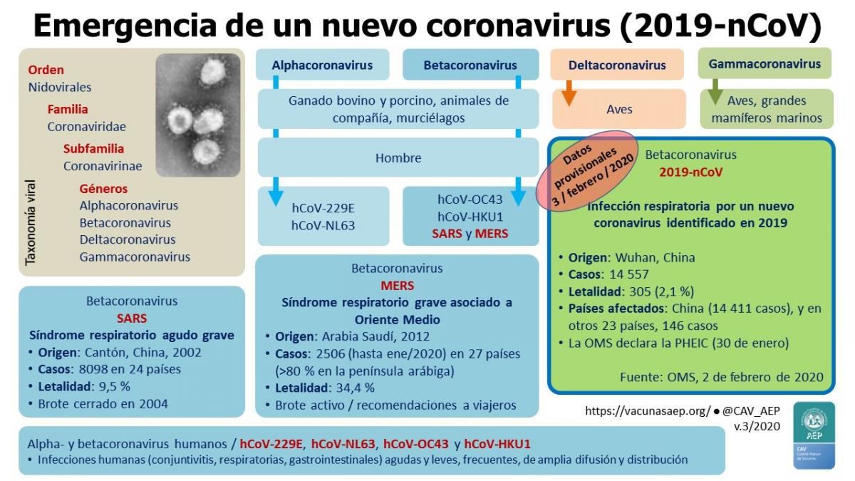 corona virus